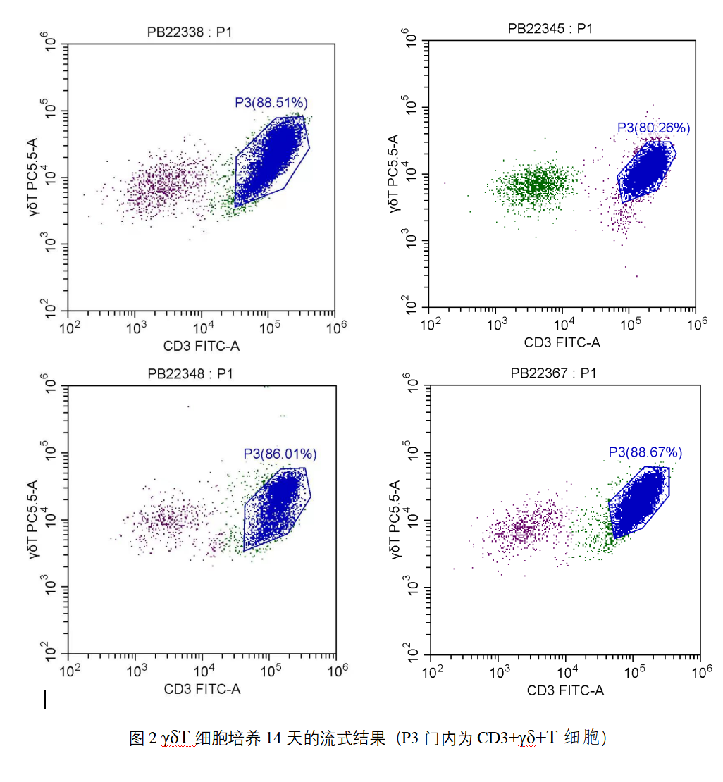新品发布：γδT细胞体外高效扩增试剂盒4.png